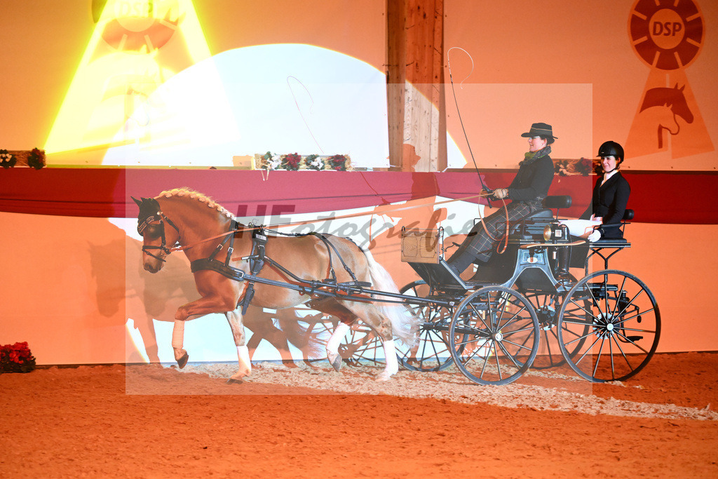 Avici Ass_1234955 | hf-fotografie - Realisiert mit Pictrs.com