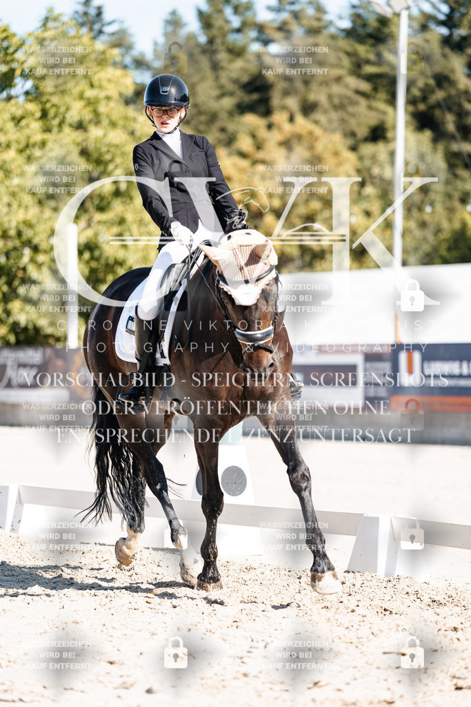 CK908499 | Turnierfotografie Pferdefotografie Trier Rheinland-Pfalz Pferdesport Reitsport Tierfotografie Sportfotografie Pferdevideo Pferdevideografie Equestrianvideography equestrianphotography  - Realisiert mit Pictrs.com