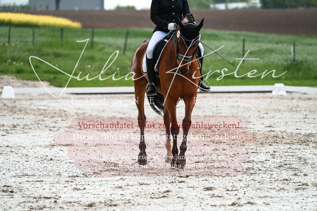 DSC_4375 | Pferde- und Turnierfotografie in Westsachsen. Pferdeportraits, Auftragszeichnungen und intuitive Kunst.