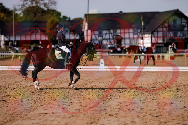 2026_10_03_Siefer-Hof_121536_Z81_17303871 | Professionelle Reitsport-, Turnier- und Eventfotografie von Robert Broda. Galerien mit ausgewählten und bearbeiteten Bildern direkt online ansehen und bestellen.