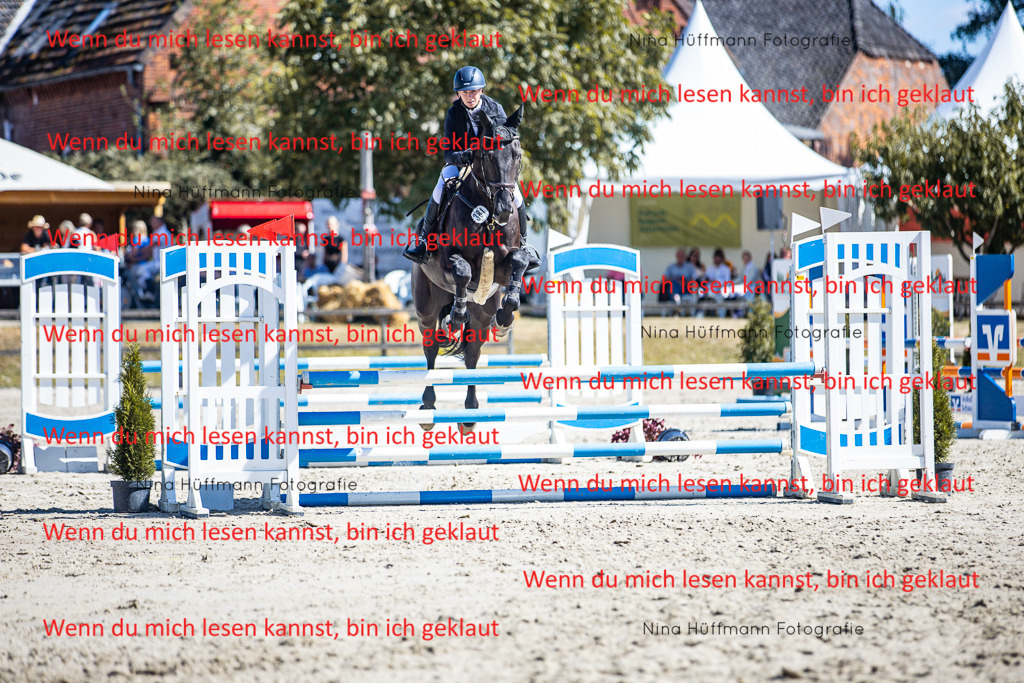 BK1A5583 | Turnierbilder Turnierfotos Nina Hüffmann Turnierfotografie Pferdefotografie Tierzeichnung Haustierzeichnung Pferdezeichnung Hundezeichnung Videograf  - Realisiert mit Pictrs.com