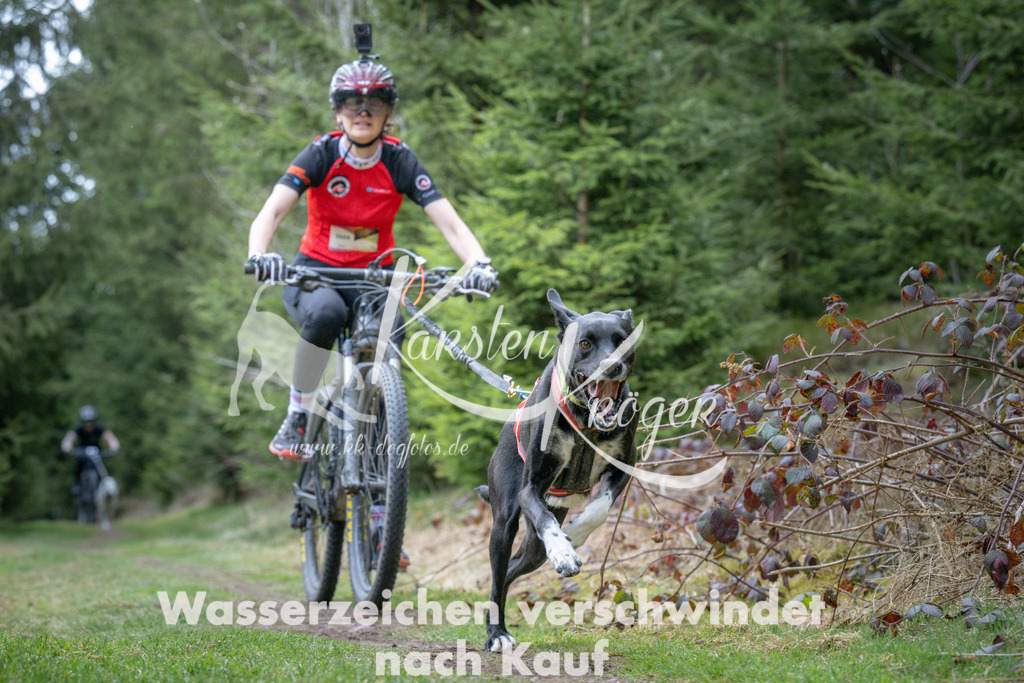 1311_ZZ93903 | kk-dogfotos