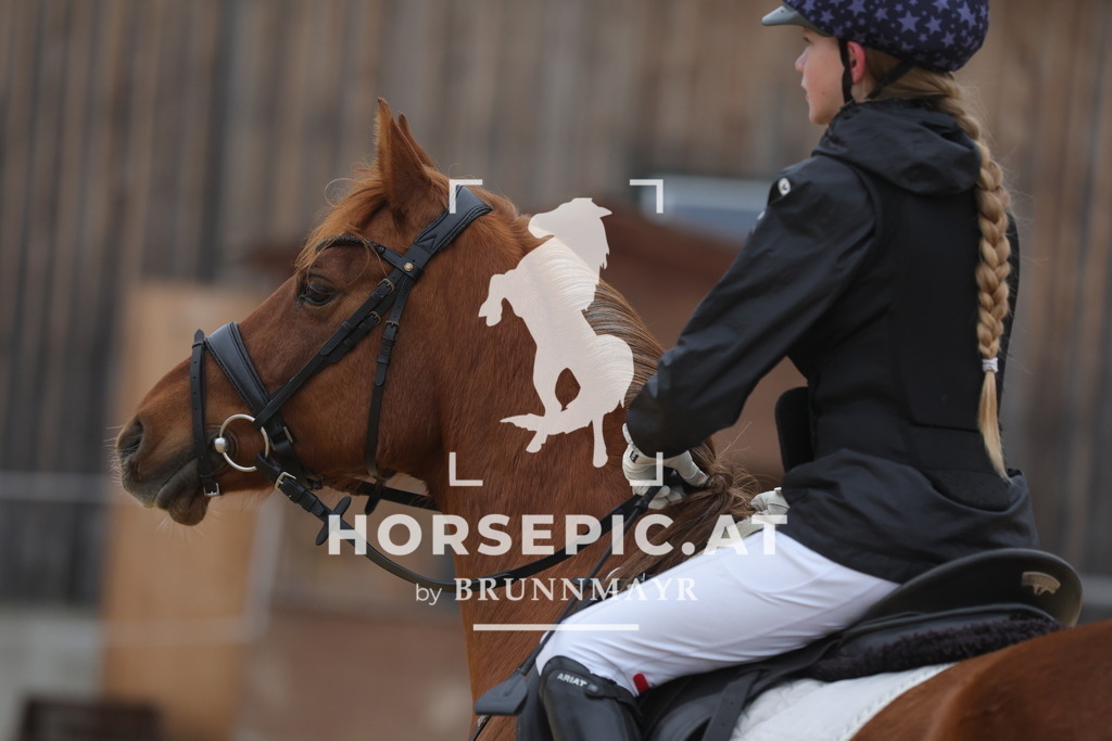 0P6A8212 | Willkommen bei Brunnmayr - Design & Fotografie – Ihrem Spezialisten für Reitturniere und Pferdeveranstaltungen in Oberösterreich, Salzburg und Bayern! Seit über 17 Jahren sind wir leidenschaftlich dabei.