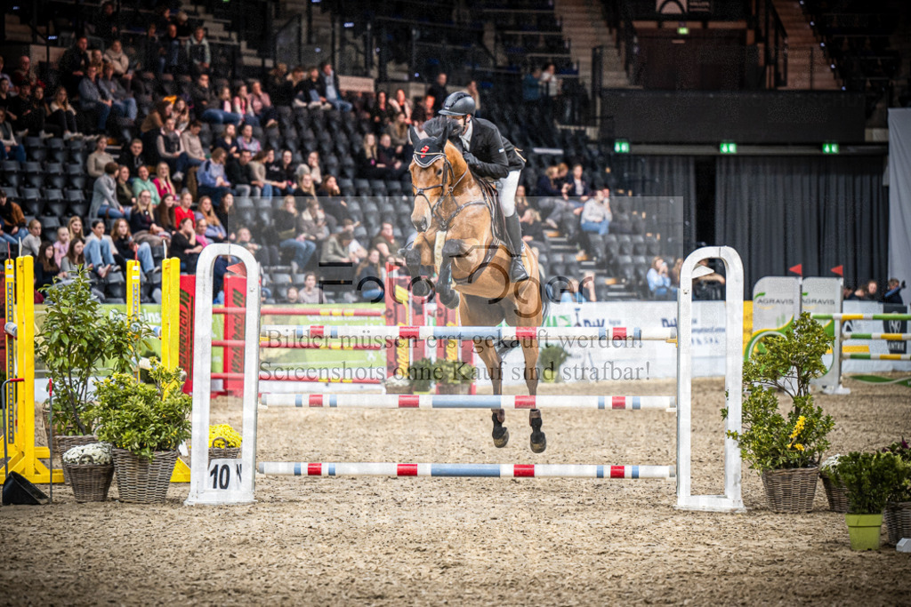 DOS_2942 | Entdecke hochwertige Reitturnierfotos von Foto Oger. Professionell, emotional und authentisch – jetzt Lieblingsmomente im Shop bestellen.Deutschlandweite Turnierfotografie. - Realisiert mit Pictrs.com