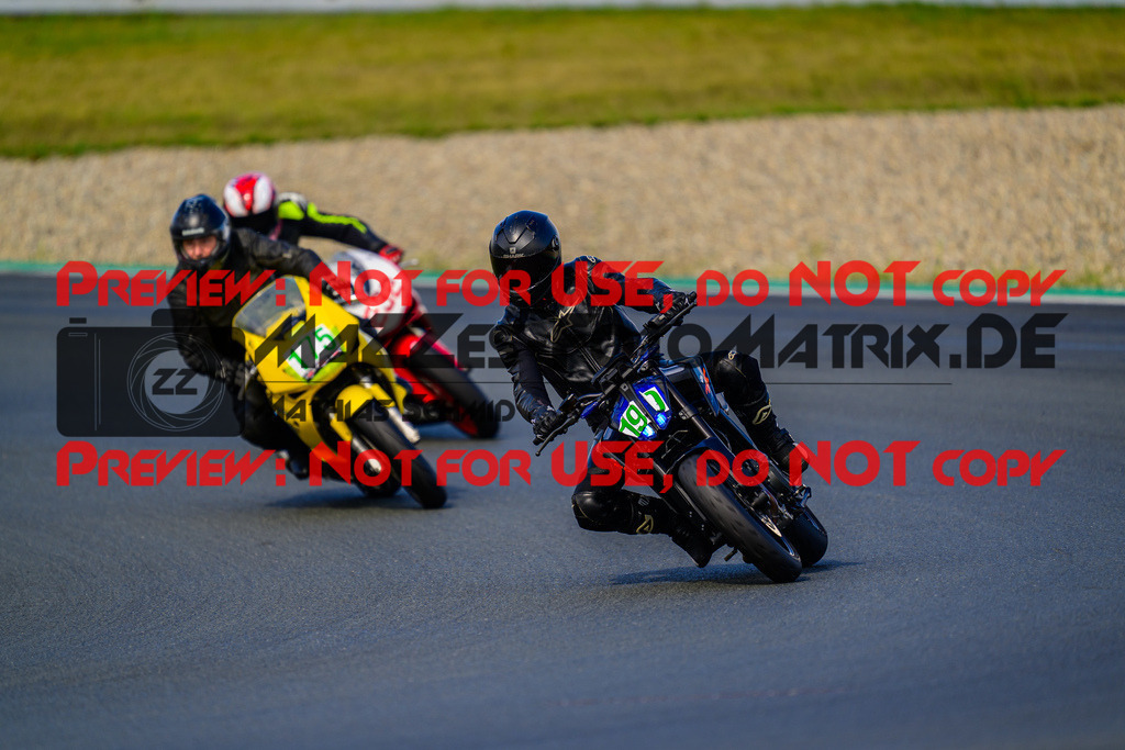 MaZZes_FotoMatrix_240724_6007705_2-273 | GRUEN