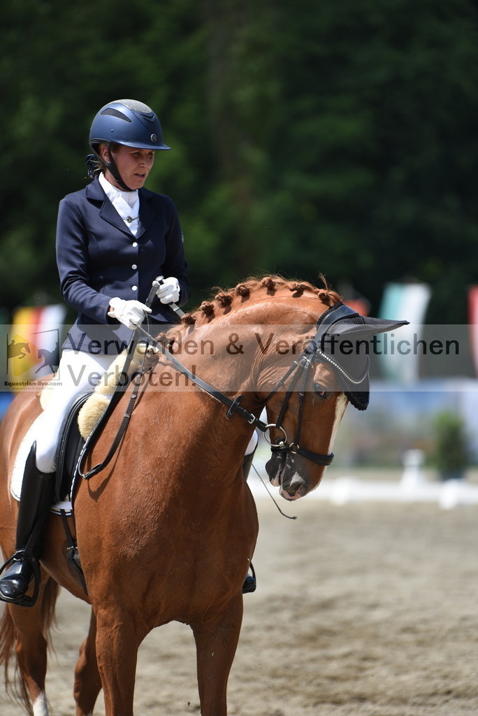 DSC_9339 | equestrian-live-com