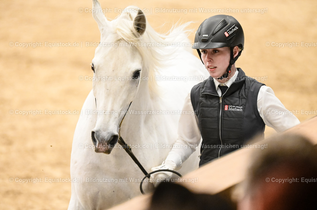 20260307_Hengstvorstellung-Marbach_0295 | equistock