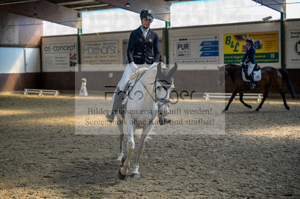 Reitturnier Voxtrup | Entdecke hochwertige Reitturnierfotos von Foto Oger. Professionell, emotional und authentisch – jetzt Lieblingsmomente im Shop bestellen.Deutschlandweite Turnierfotografie. - Realisiert mit Pictrs.com
