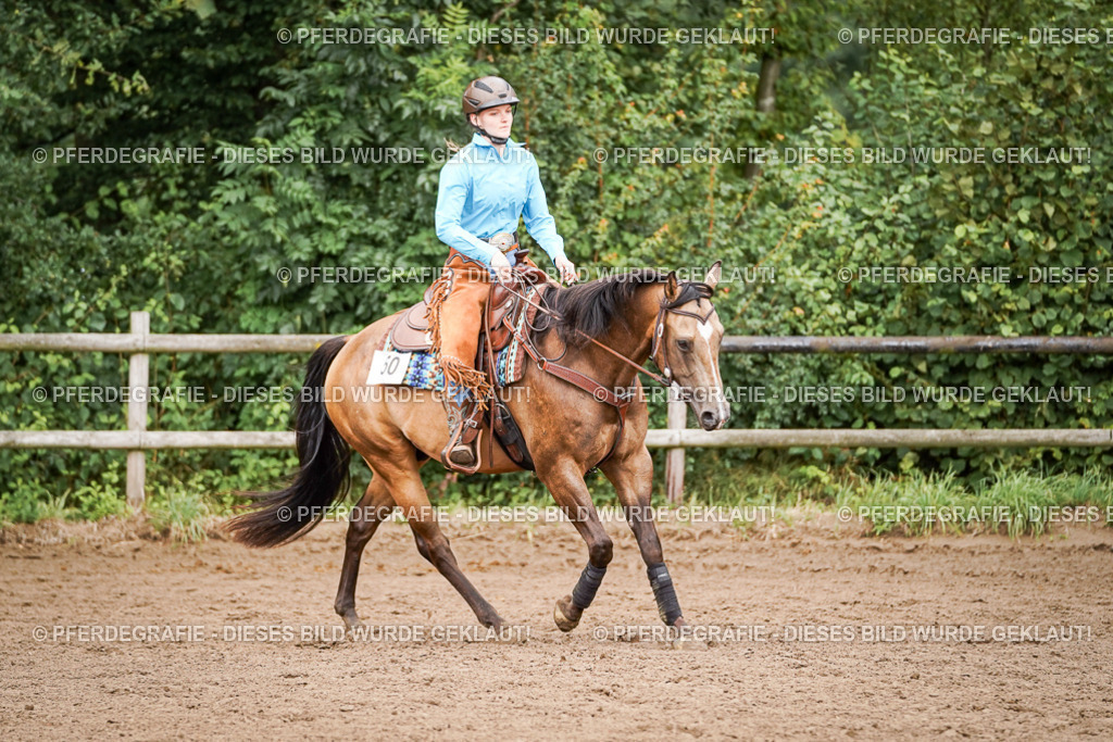 DSC08124 | Pferdegrafie