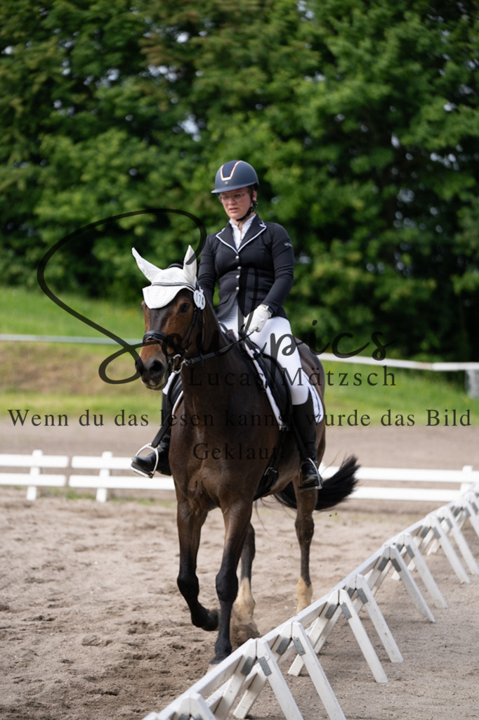 A7V02617 | Pferdefotograf