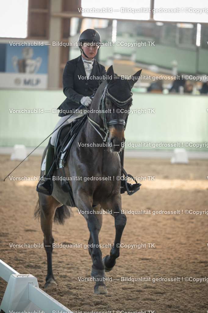 _D5A4090 | Emotionale Pferde- & People-Fotografie rund um Heidelberg, Leimen & Umgebung. Natürliche Fotos von Pferd, Mensch & Familie. Jetzt Termin sichern!