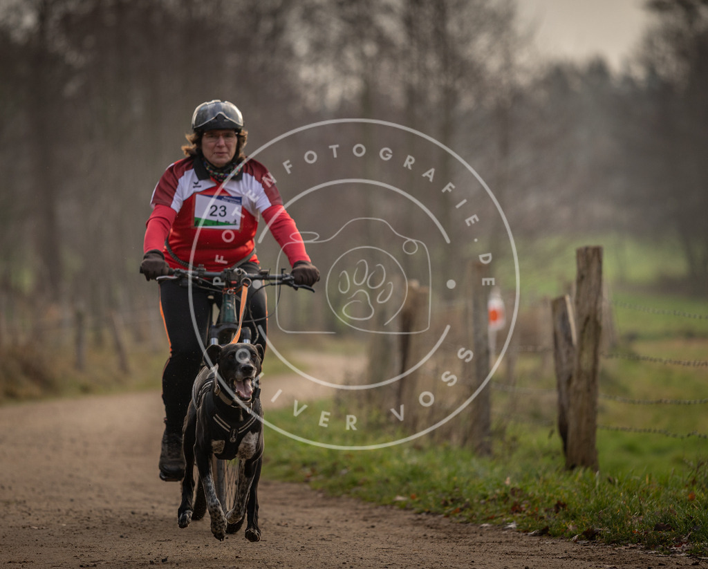 Pfotenfotografie_DV3A1991 | Hundefotografie, Tierfotograf, Pfotenfotografie, Fotoshooting Hund, Hunde Portrait, Hundesport, Hundeportraits, Heideshooting, Hunde, Sportfotograf, Hundefotograf, Turnierhundsport, THS,  - Realisiert mit Pictrs.com