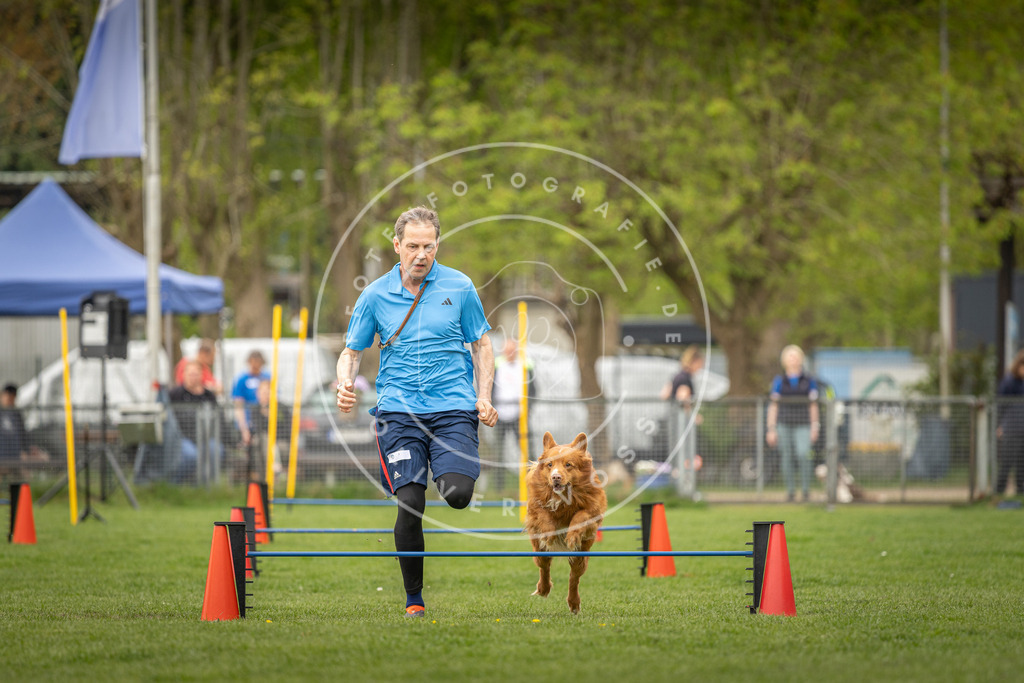 Pfotenfotografie_DV3A8231 | Hundefotografie, Tierfotograf, Pfotenfotografie, Fotoshooting Hund, Hunde Portrait, Hundesport, Hundeportraits, Heideshooting, Hunde, Sportfotograf, Hundefotograf, Turnierhundsport, THS,  - Realisiert mit Pictrs.com