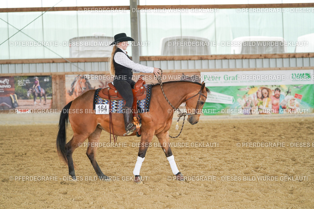 DSC04961 | Pferdegrafie