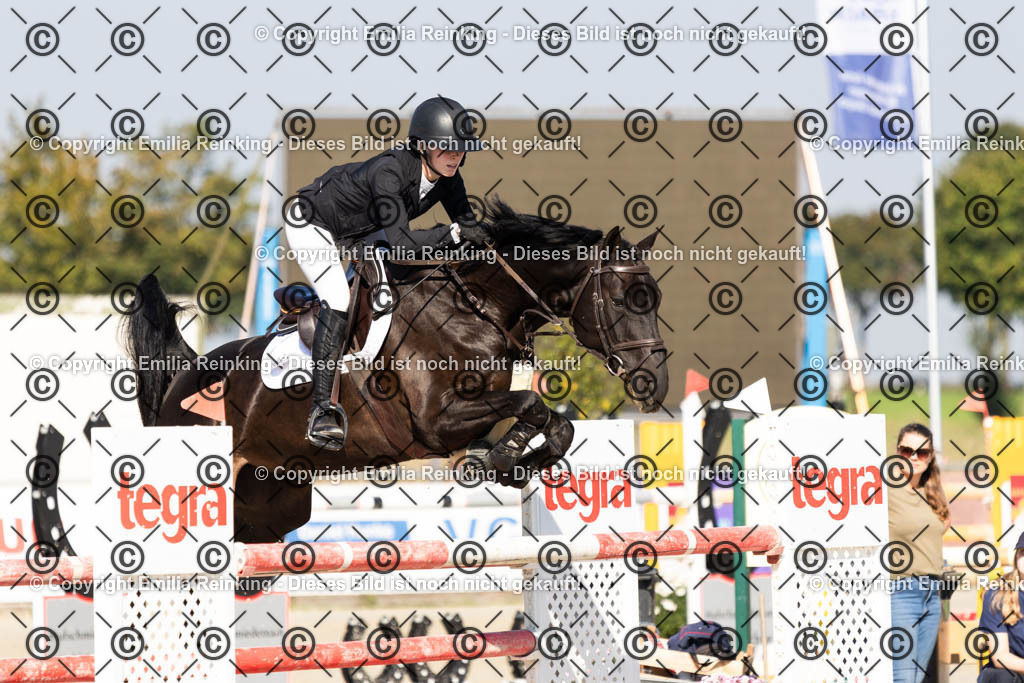 CL5A6631 | Emilia Reinking Fotografie - Realisiert mit Pictrs.com