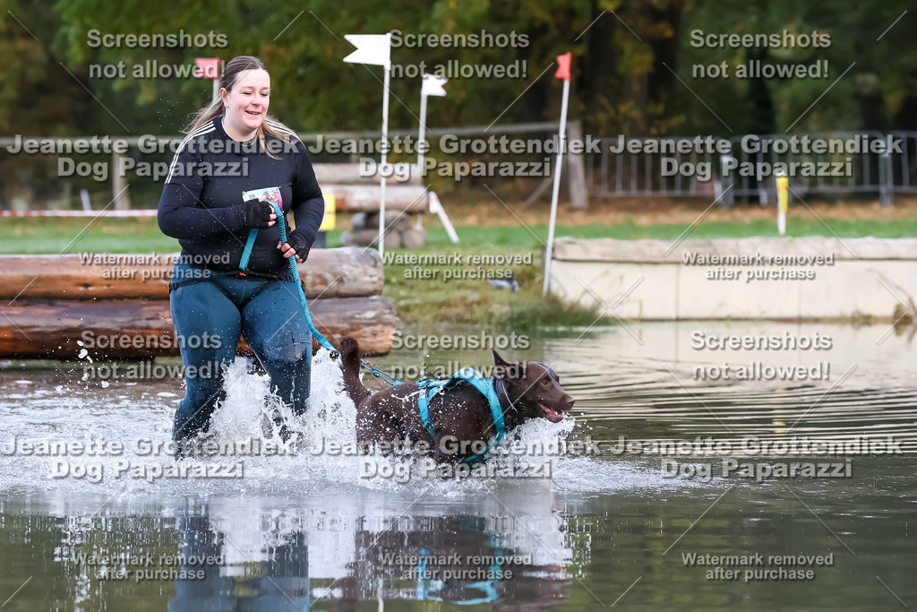 Dog Paparazzi - Strongdog 10-25-6343 | Dog Paparazzi Jeanette Grottendiek Fotografie & Videografie - Realisiert mit Pictrs.com