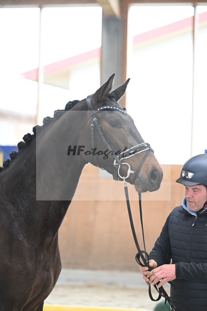 Kat-Nr. 67 Donaus Zupermaus v. Zuperman_Pollich_7241422 | hf-fotografie - Realizzato con Pictrs.com