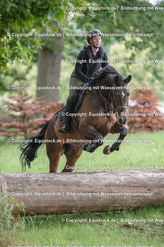 20250726_Vielseitigkeitslehrgang-Marbach_0768 | Foto: Thomas Hartig