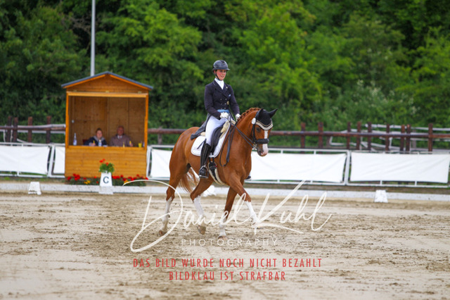 DKP47921 | Turnierfotos kaufen im Webshop von Daniel Kuhl Photography – entdecke professionelle Reitsportfotos aus Turnieren & Events. Hochwertige Turnierbilder online bestellen & sichern. Jetzt Fotos von Reitsportturnieren kaufen!