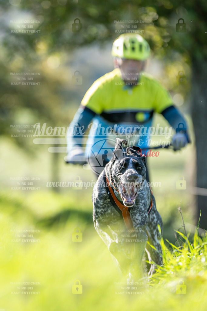 MompixPhotography_20TSB_E3_DS1-59 | PayLife