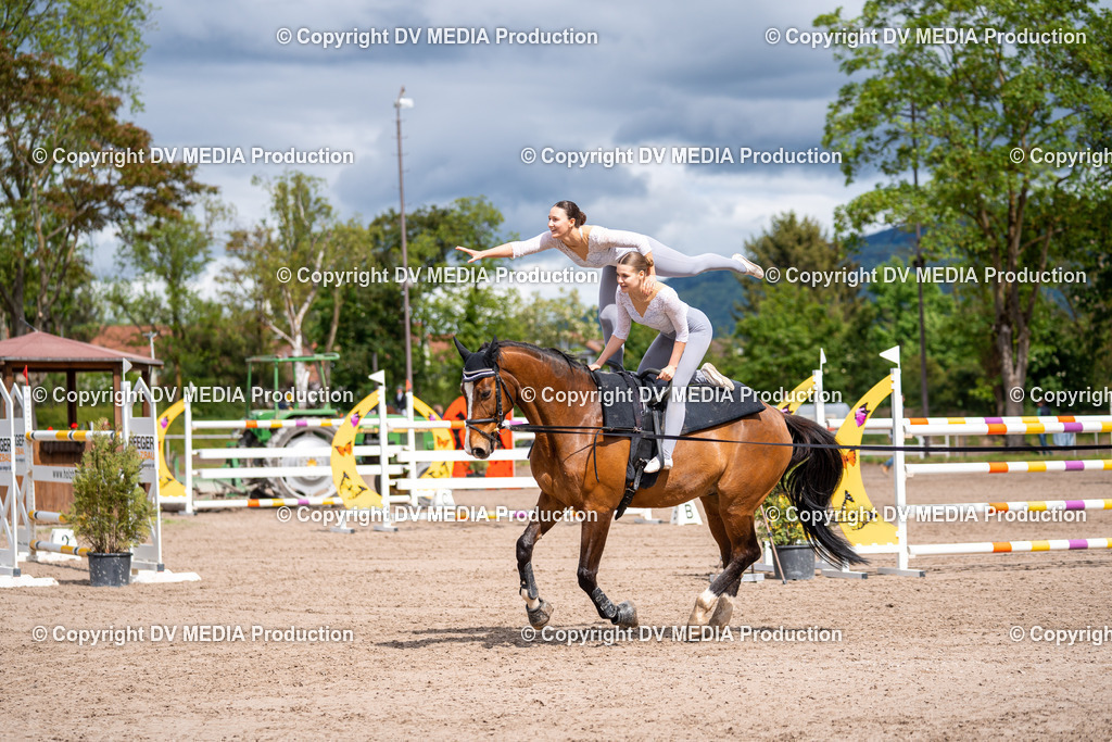 Eppelheim Tag 3-287 | dv-media-shop - Realisiert mit Pictrs.com