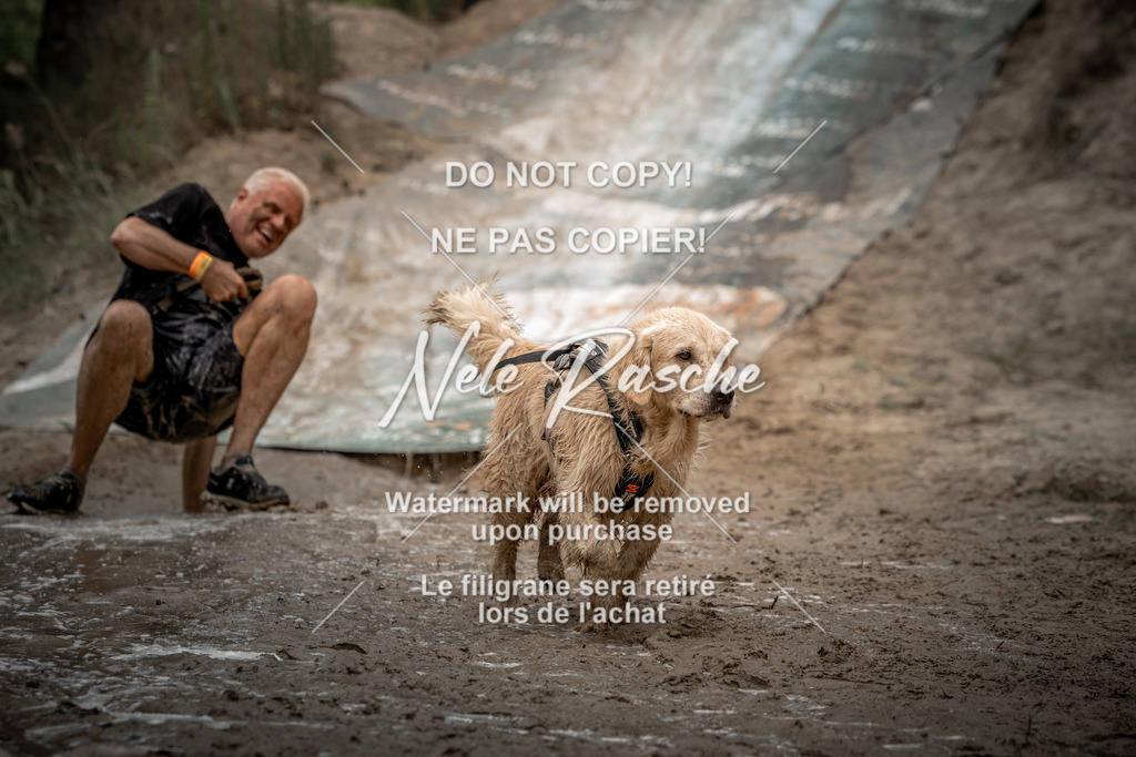 nelerasche_sa1530-1600_34 | nelerasche