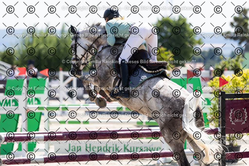 CL5A0804 | Emilia Reinking Fotografie - Realisiert mit Pictrs.com