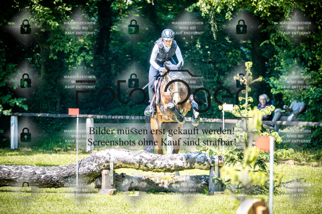 2026-05 - Melle Oldendorf-1-0067 | Entdecke hochwertige Reitturnierfotos von Foto Oger. Professionell, emotional und authentisch – jetzt Lieblingsmomente im Shop bestellen.Deutschlandweite Turnierfotografie. - Realisiert mit Pictrs.com