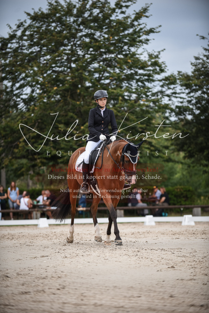 DSC_8397 | Pferde- und Turnierfotografie in Westsachsen. Pferdeportraits, Auftragszeichnungen und intuitive Kunst.