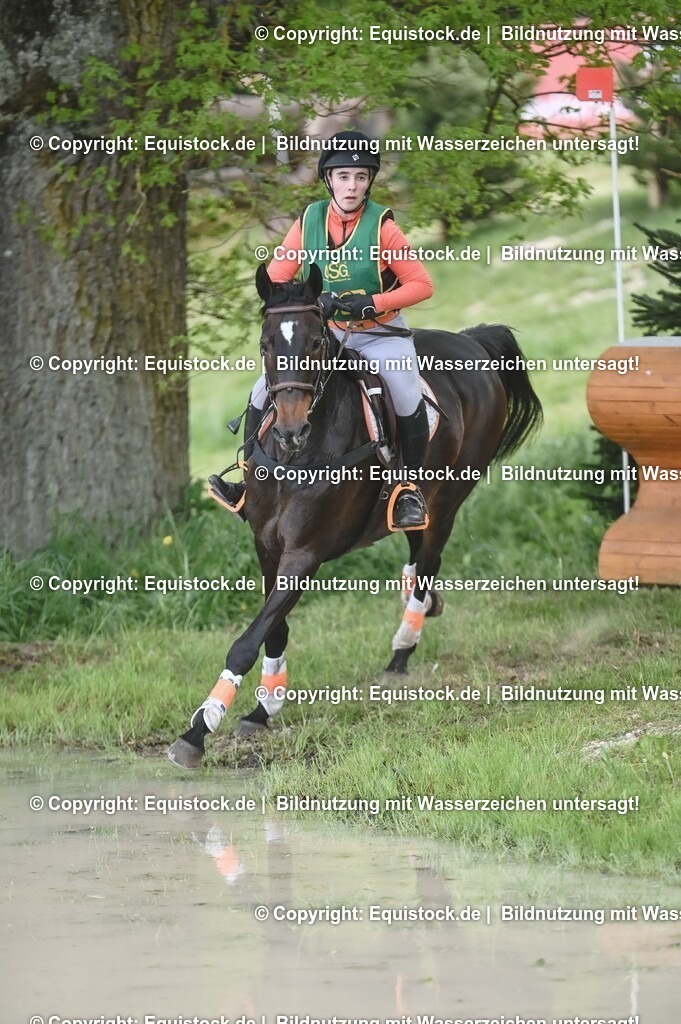 20250517_CCI1_Gelände_0727 | Foto: Thomas Hartig