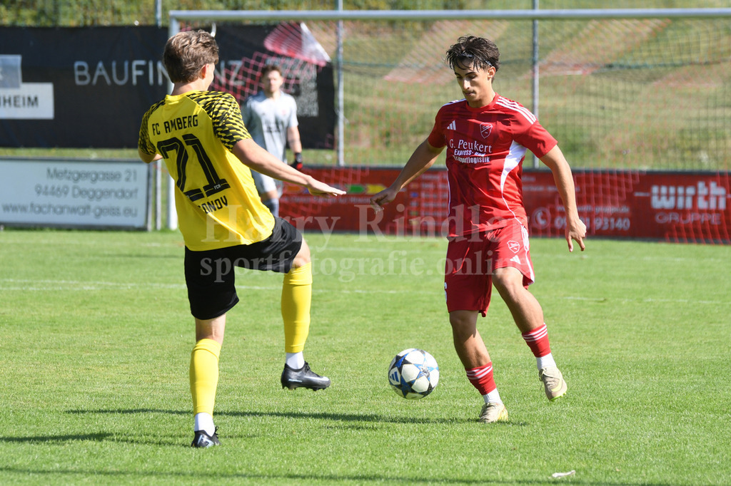 TSV Seebach : FC AmbergSpVgg GW Deggendorf : TSV Karpfham | Andras Mityko (TSV Seebach #6) - Realisiert mit Pictrs.com