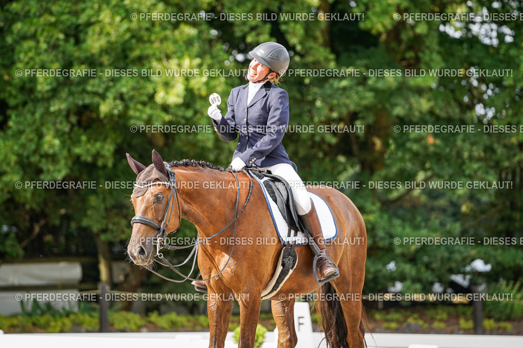 DSC07017 | Pferdegrafie