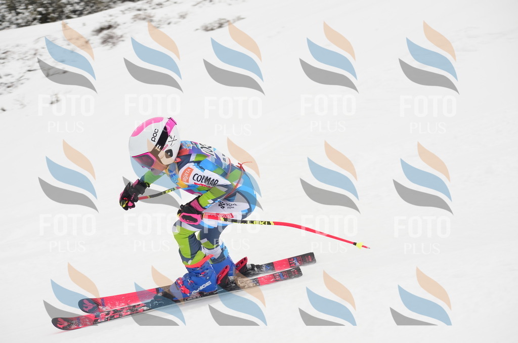 C1407 | holidayphoto