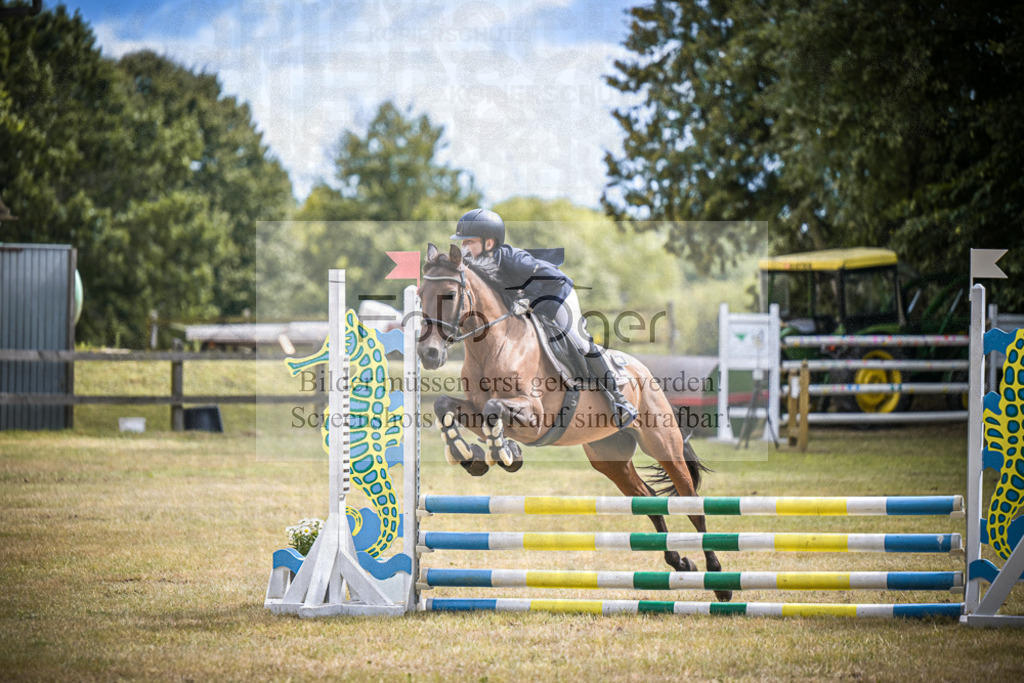 DOS_0637 | Entdecke hochwertige Reitturnierfotos von Foto Oger. Professionell, emotional und authentisch – jetzt Lieblingsmomente im Shop bestellen.Deutschlandweite Turnierfotografie. - Realisiert mit Pictrs.com