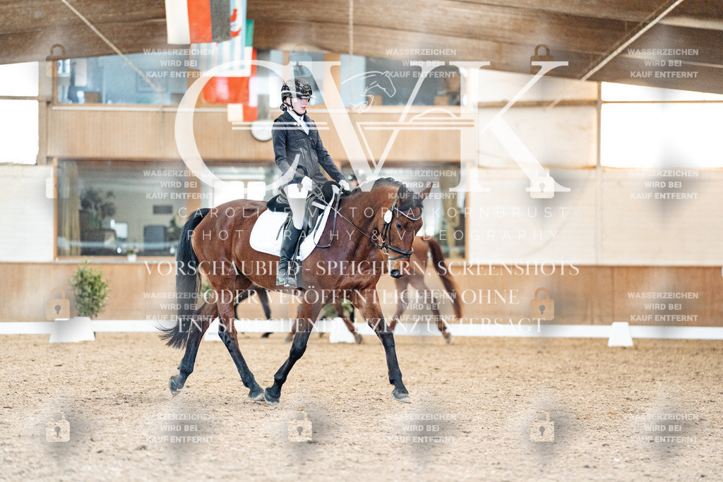 CK908697 | Turnierfotografie Pferdefotografie Trier Rheinland-Pfalz Pferdesport Reitsport Tierfotografie Sportfotografie Pferdevideo Pferdevideografie Equestrianvideography equestrianphotography  - Realisiert mit Pictrs.com