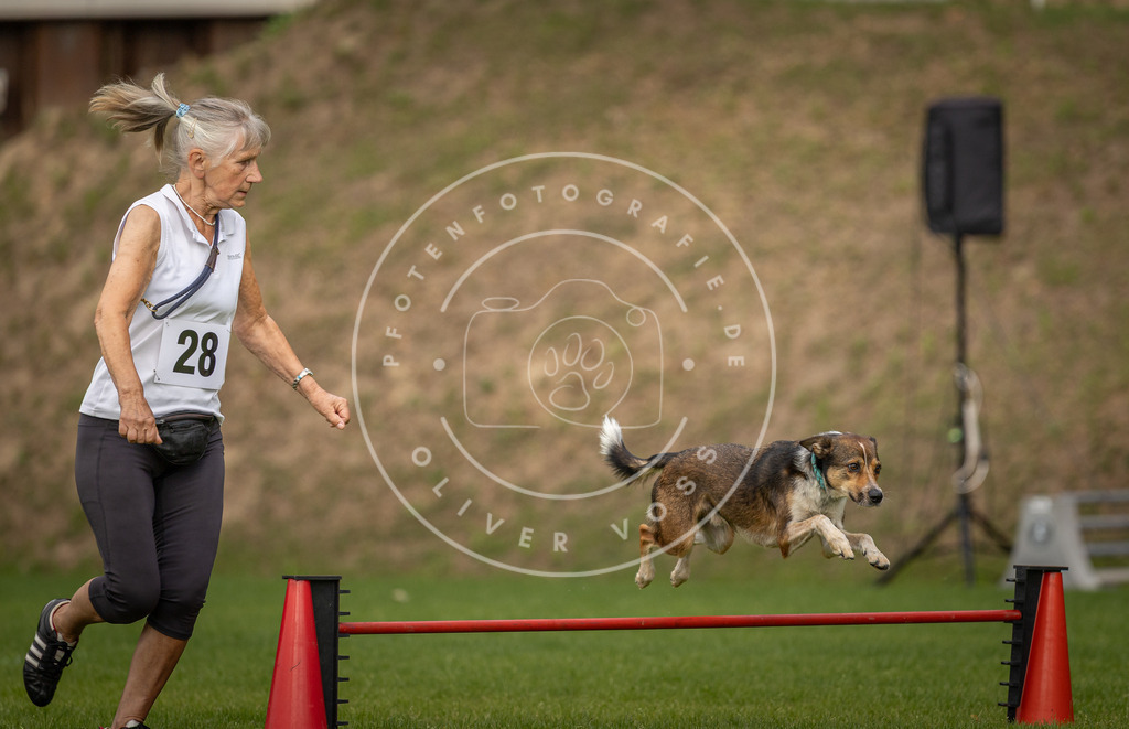Pfotenfotografie_DV3A7715 | Hundefotografie, Tierfotograf, Pfotenfotografie, Fotoshooting Hund, Hunde Portrait, Hundesport, Hundeportraits, Heideshooting, Hunde, Sportfotograf, Hundefotograf, Turnierhundsport, THS,  - Realisiert mit Pictrs.com