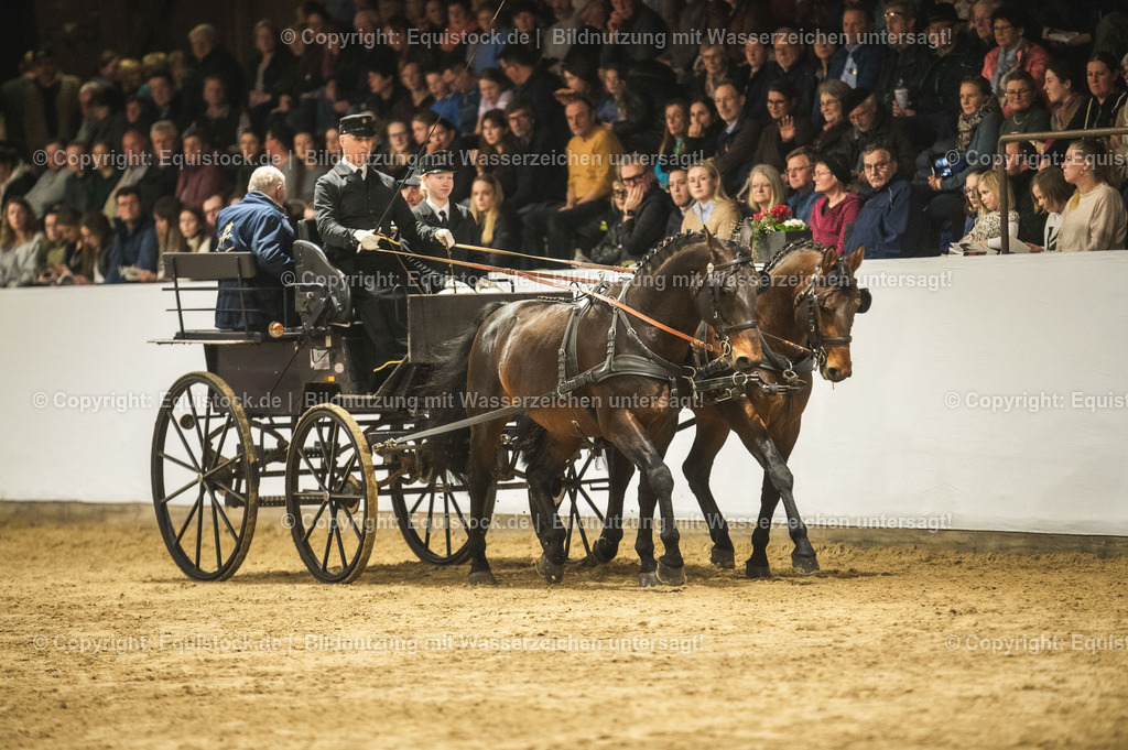20240302_Hengstvorstellung_Marbach_TOMsPiC_0746-2 | equistock