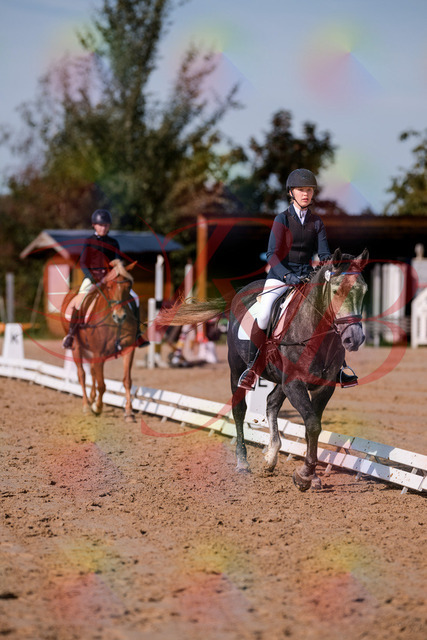 2026_10_03_Siefer-Hof_120106_Z81_03612502 | Professionelle Reitsport-, Turnier- und Eventfotografie von Robert Broda. Galerien mit ausgewählten und bearbeiteten Bildern direkt online ansehen und bestellen.