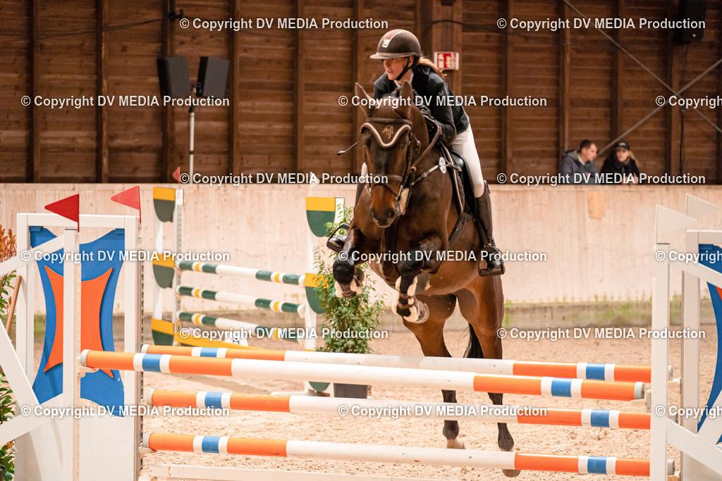 Springen Tag 1-355 | dv-media-shop - Realisiert mit Pictrs.com