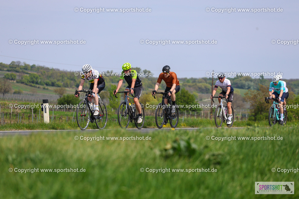 IMG_2641 | @sportshot_your_pictrs #yourpictures#roadtowm2029 #nrm #neusiedlerseeradmarathon #neusiedlersee #neusiedlerseetourismus #burgenland #mörbisch #nrm26 #burgenlandtourismus #voglundco #poweredbyburgenlandtourismus #radsport #rad #marathon #ucigranfondo #visitburgenland #ucigranfondoworldseries