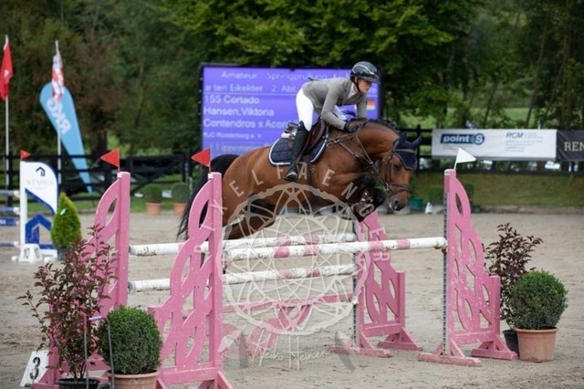 2B4A3533 | pixelfaenger - Realisiert mit Pictrs.com