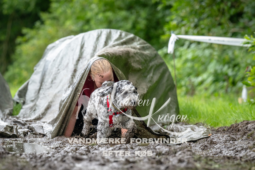 1045_ZZ92832 | kk-dogfotos