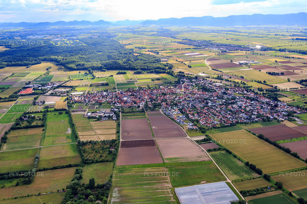 Luftbild: Ortsansicht aus Osten in Zeiskam im Bundesland Rheinland-Pfalz in Deutschland. Foto: IMG_090058.jpg vom 26.06.2016 durch Werner Riehm/FLY-FOTO.de