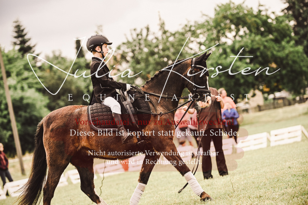 DSC_5337 | Pferde- und Turnierfotografie in Westsachsen. Pferdeportraits, Auftragszeichnungen und intuitive Kunst.