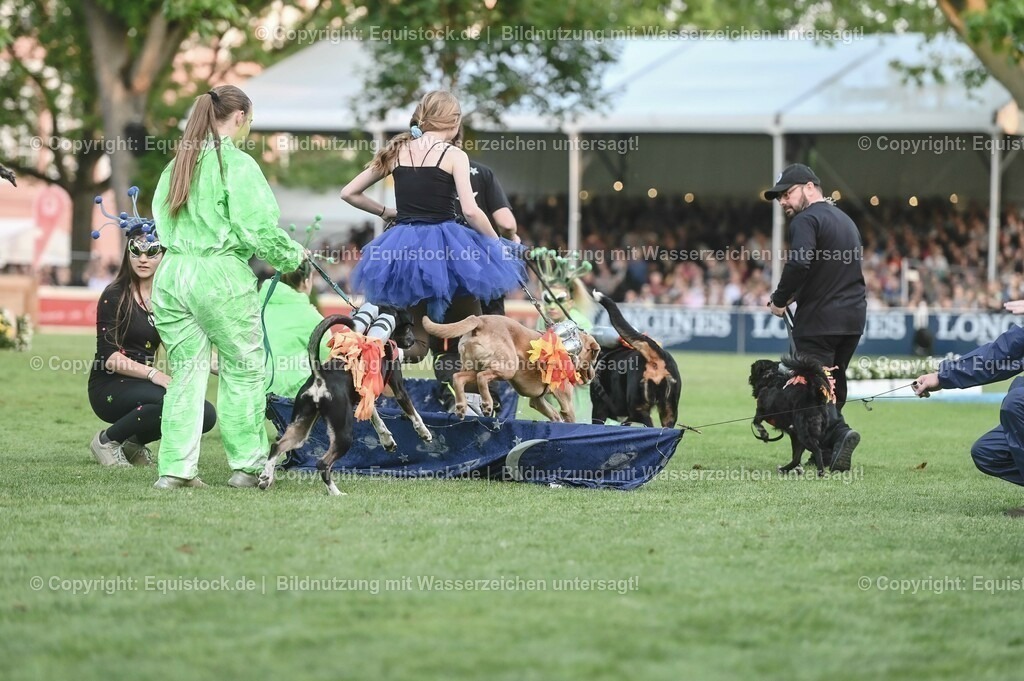 20230526_Pferdenacht_0466 | equistock
