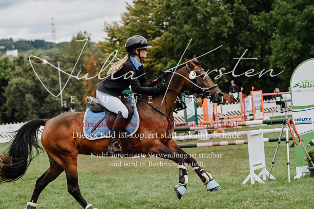 DSC_6771 | Pferde- und Turnierfotografie in Westsachsen. Pferdeportraits, Auftragszeichnungen und intuitive Kunst.
