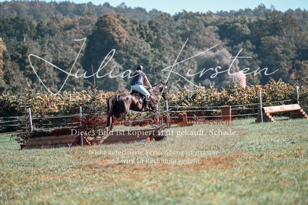 DSC_0586 | Pferde- und Turnierfotografie in Westsachsen. Pferdeportraits, Auftragszeichnungen und intuitive Kunst.