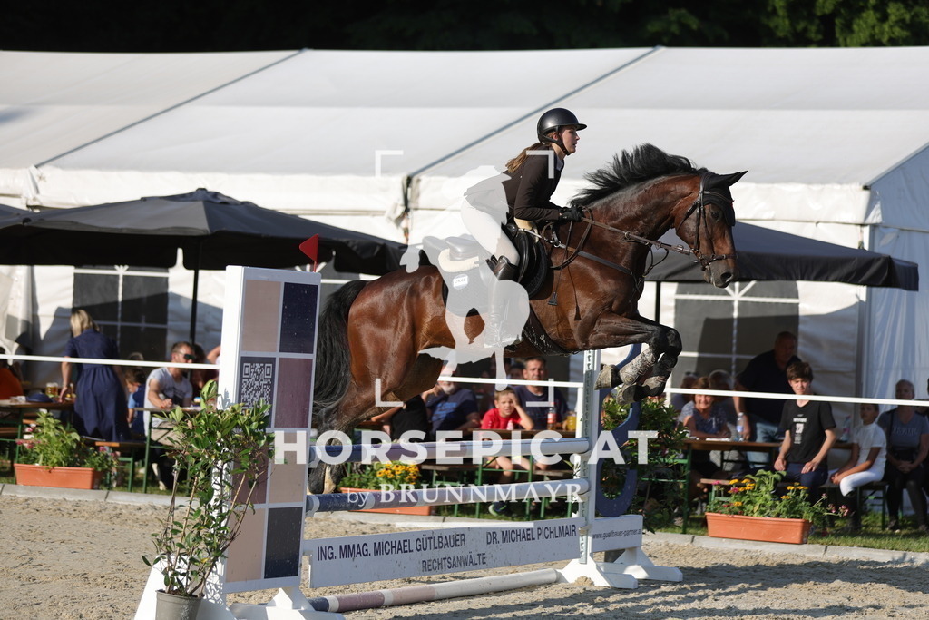 0P6A6635 | Willkommen bei Brunnmayr - Design & Fotografie – Ihrem Spezialisten für Reitturniere und Pferdeveranstaltungen in Oberösterreich, Salzburg und Bayern! Seit über 17 Jahren sind wir leidenschaftlich dabei.