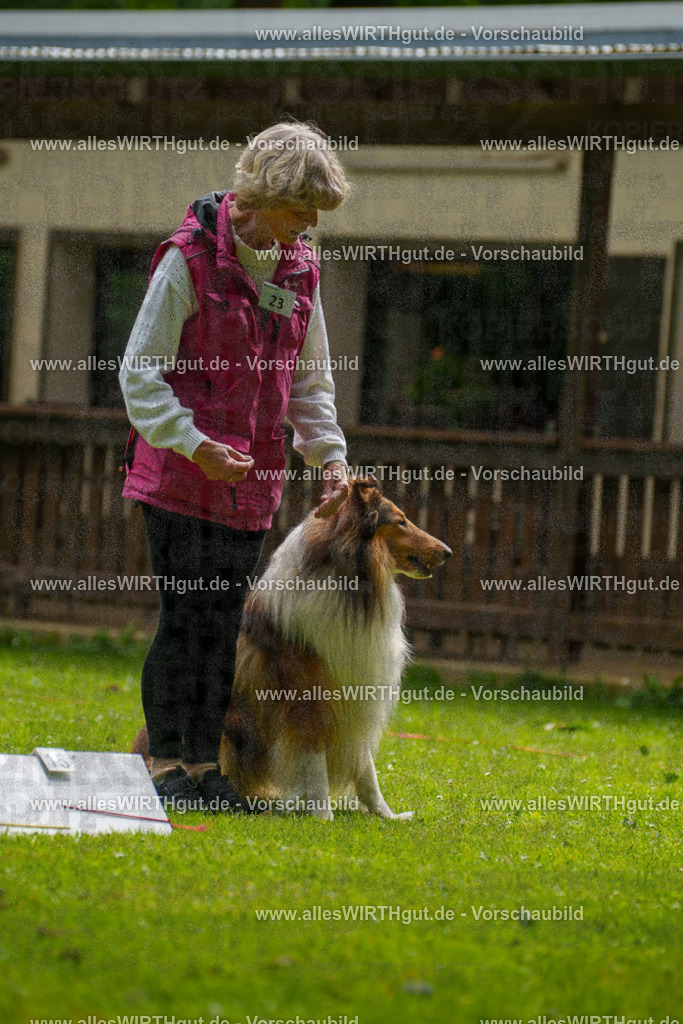 @allesWIRTHgut_Tierfotografie - www.allesWIRTHgut.de - 095201-7R507767 | Professionelle Tierfotografie in Mönchengladbach von Daniel Wirth (allesWIRTHgut). Liebevolle & natürliche Bilder von Hunden & Katzen für unvergessliche Erinnerungen.
