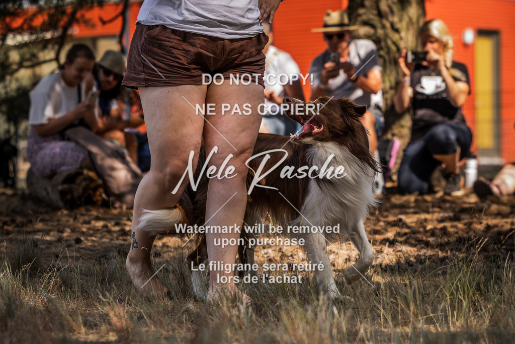 nelerasche_soDD1_433 | nelerasche